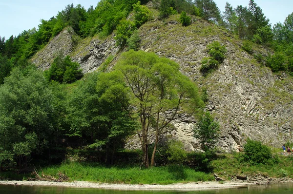 KROSCIENKO DUNAJCEM, POLÓNIA — Fotografia de Stock