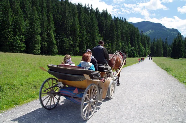 Tatry, Zakopane, doliny Kościeliskiej Polska — Zdjęcie stockowe