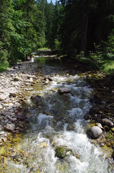 Tatry, Ζακοπάνε, Πολωνία Dolina Koscieliska — Φωτογραφία Αρχείου