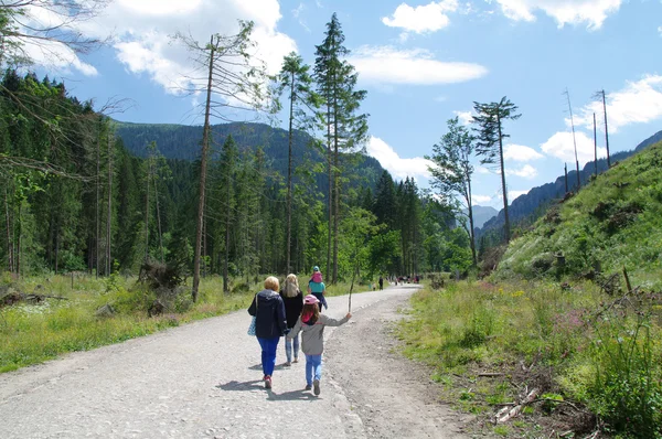 Tatry, Zakopane, Dolina Koscieliska Polen — Stockfoto