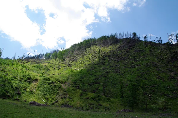 TATRIA, ZAKOPANE, DOLINA KOSCIELISKA POLÓNIA — Fotografia de Stock