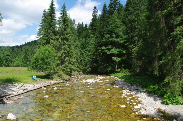 Tatry, Zakopane, Dolina Koscieliska Polen — Stockfoto