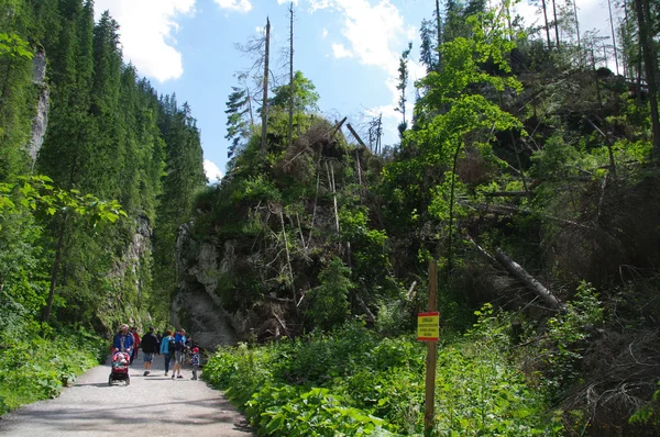 TATRIA, ZAKOPANE, DOLINA KOSCIELISKA POLÓNIA — Fotografia de Stock