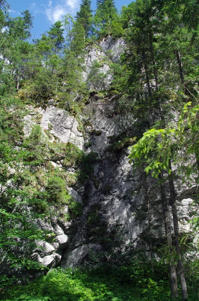 TATRY, ZAKOPANE, DOLINA KOSCIELISKA POLONIA —  Fotos de Stock