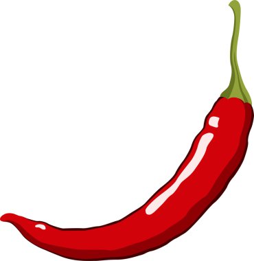 Red hot chili biber. vektör çizim