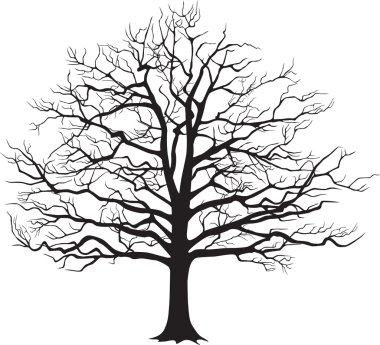 Download Bare Tree Free Vector Eps Cdr Ai Svg Vector Illustration Graphic Art