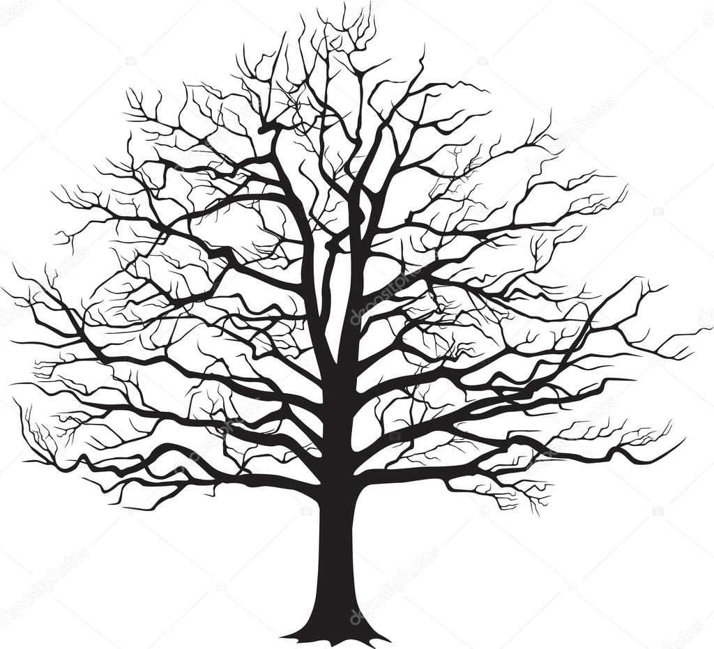 Download Black silhouette bare tree . Vector illustration — Stock Vector © khvost #53749273