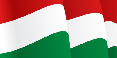 Background with waving Hungarian Flag. Vector clipart