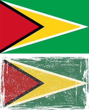 Guyana grunge bayrak. Vektör çizim