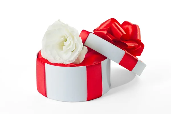 Ronde gift box met bloem — Stockfoto