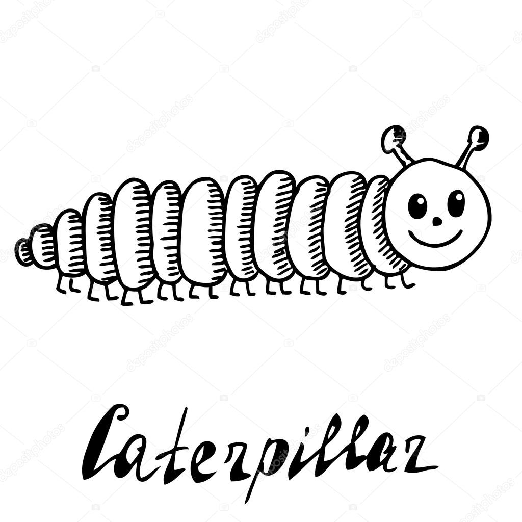 Hand drawn, sketch, cartoon illustration of caterpillar Stock Vector Image  by ©helenka #101383940
