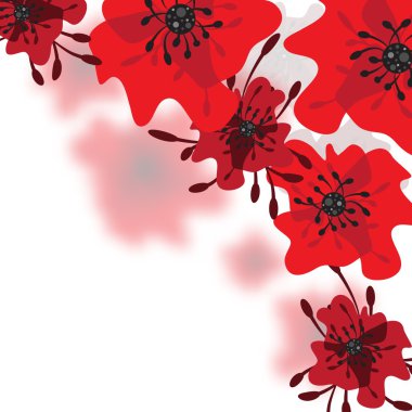 Kırmızı çiçek arka plan