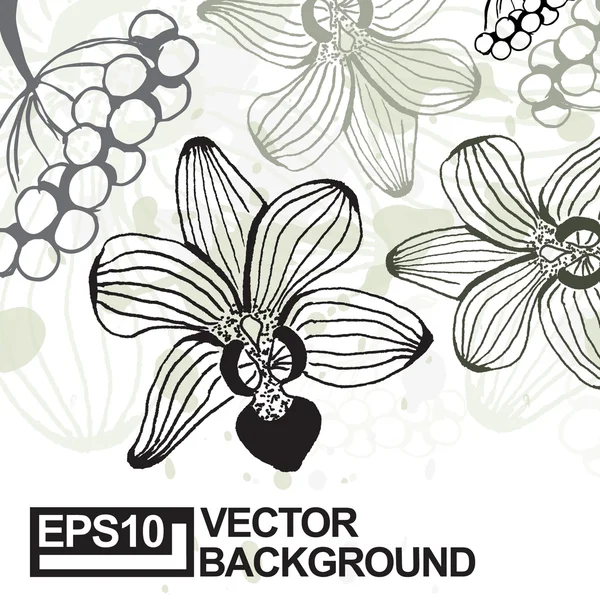 Orchid veldboeket patroon — Stockvector