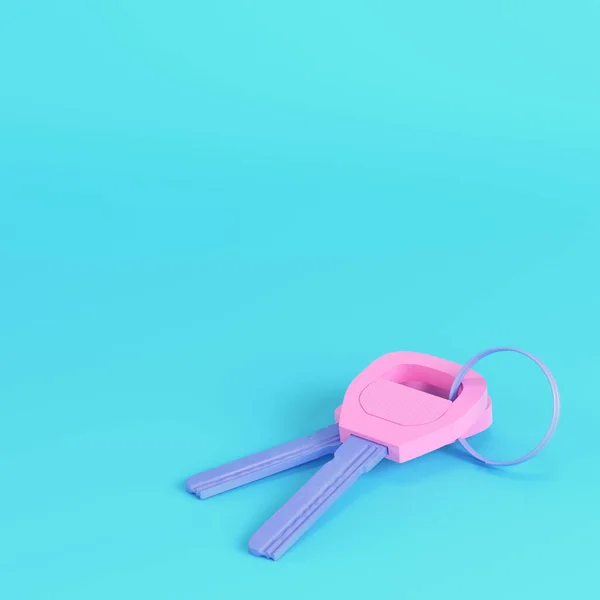 Pink Dua Kunci Pada Keyring Pada Latar Belakang Biru Cerah — Stok Foto