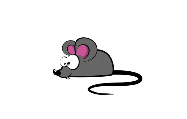 Сюрприз для мыши — стоковое фото