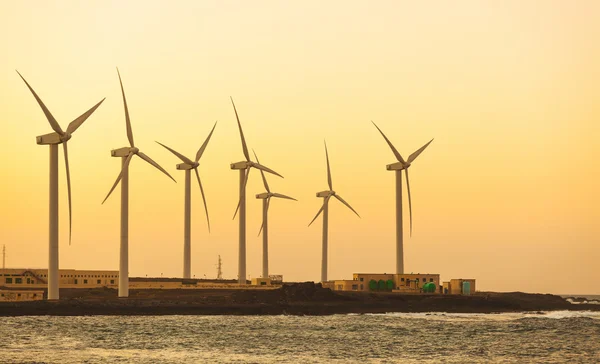 Fuerteventura deniz yanında windfarm görünümü — Stok fotoğraf