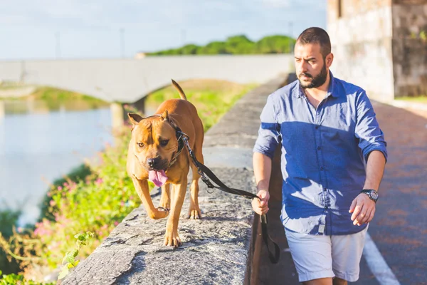 Man loopt met zijn hond. — Stockfoto