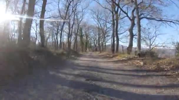 Car driving on a countryside road on a sunny day - Video taken with an action camera from the front of the vehicle - Blue sky and autumn trees, travel and transportation concepts — Stock Video