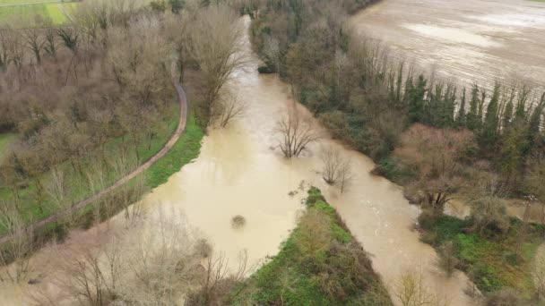 Letecký pohled na řeku s vysokou hladinou vody a rizikem povodní - koncepce přírodních a klimatických změn s reálným dopadem na svět — Stock video