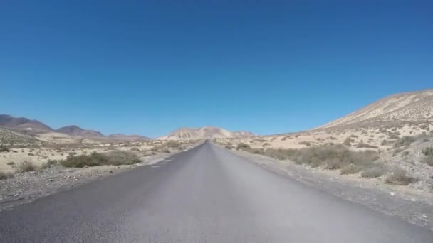 Вождение Пустыне Фуэртевентура Летний День Пустая Дорога Испании Золотыми Горлышками — стоковое видео