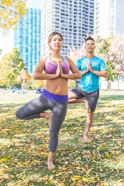 Kinesiska Par Utövar Yoga Tillsammans Parken Toronto Asiatisk Man Och — Stockfoto