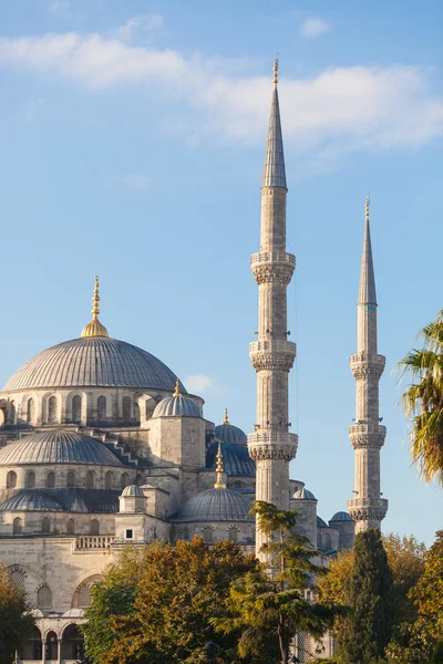 Błękitny Meczet w Stambule w słoneczny dzień — Zdjęcie stockowe
