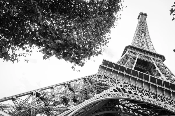 Tour Eiffel en París —  Fotos de Stock