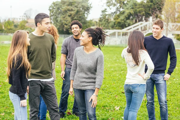 Multiethnic Group of Friends at Park — Stock Photo, Image