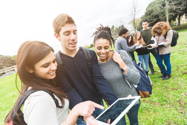 Multiethnic College Students at Park Stock Image