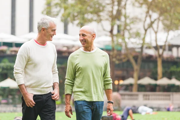 Pareja gay en el parque — Foto de Stock