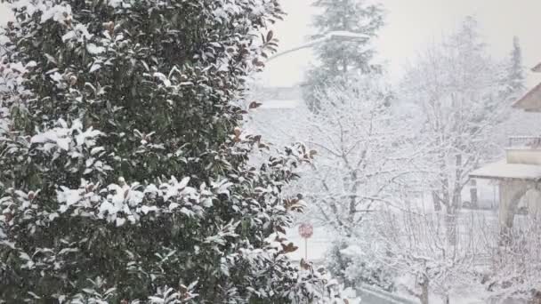 Paisaje invernal con nieve caída — Vídeo de stock