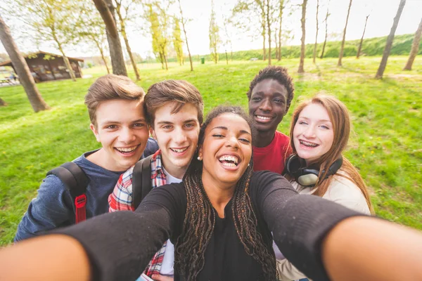 Sekelompok remaja multietnis mengambil selfie di taman Stok Foto