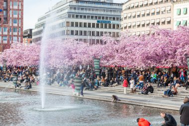 İnsanlar ile Kral Bahçe, İsveççe, Kungstradgarden ziyaret