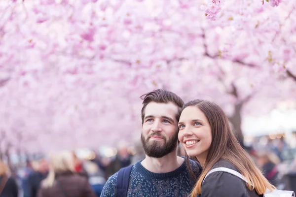 Hipster couple portrait in Stockholm with cherry blossoms — Stock Photo, Image