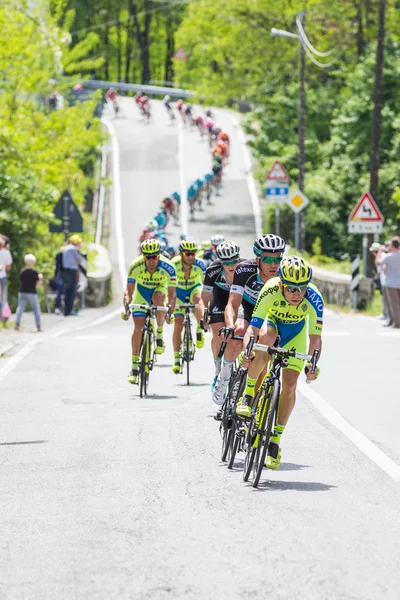 Team Saxo Tinkoff leading the group — Stock Photo, Image