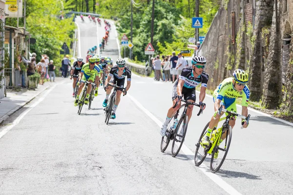 Team Saxo Tinkoff leading the group — Stock Photo, Image