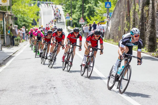 Team bmc in der Gruppe — Stockfoto