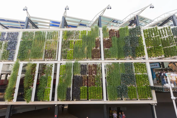 Pavillon des Etats-Unis à l'Expo 2015 à Milan, Italie — Photo