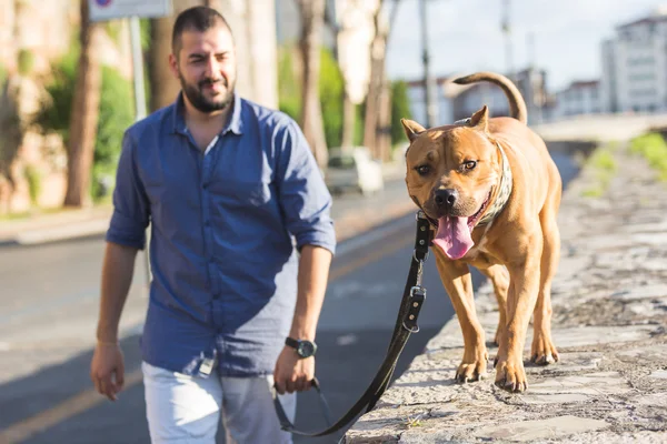 Homme marchant avec son chien. — Photo