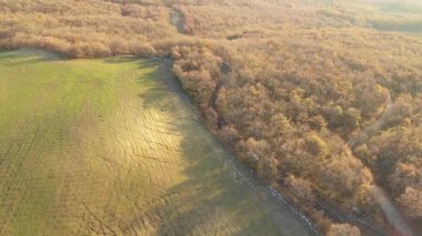Aerial view of a white car driving through orange autumn countryside at sunset - Nature, transport and travel concepts with Italy rural settings as background
