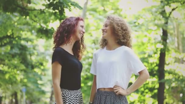 Dos hermosas chicas hablando y riendo en el parque — Vídeo de stock