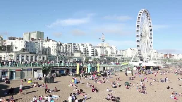 Brighton beach with ferris wheel — Stock Video