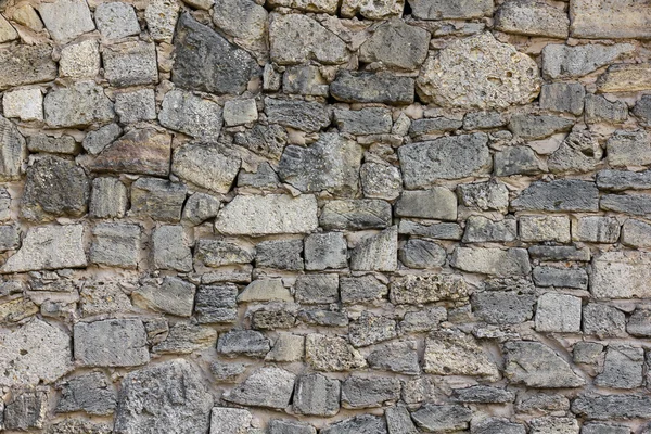 Coquina stone wall background — Stock Photo, Image