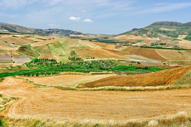 Sicilya anız alanlarında