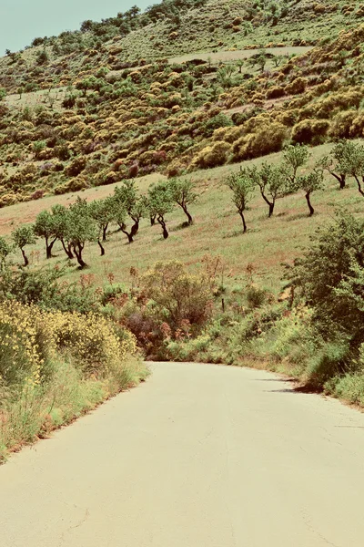 Sicilian Asphalt Road — Stock Photo, Image