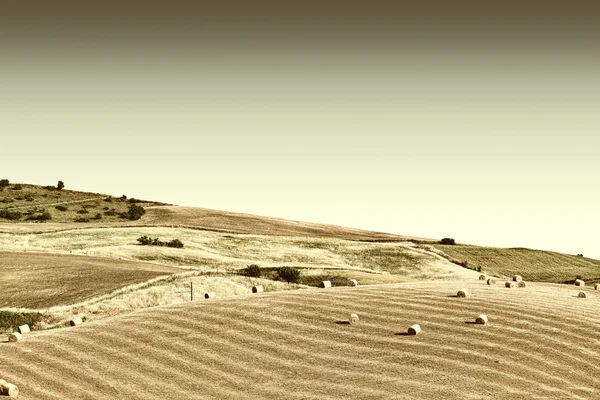 Heno Bales en Sicilia — Foto de Stock