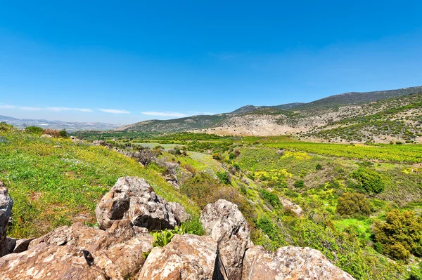 Golan Heights in Israel — Stock Photo, Image