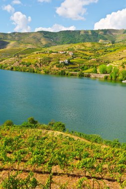 Portekiz 'de River Douro