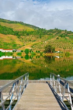 Portekiz 'de River Douro