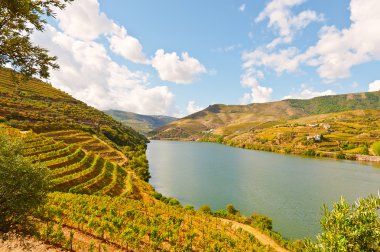 Portekiz 'de River Douro